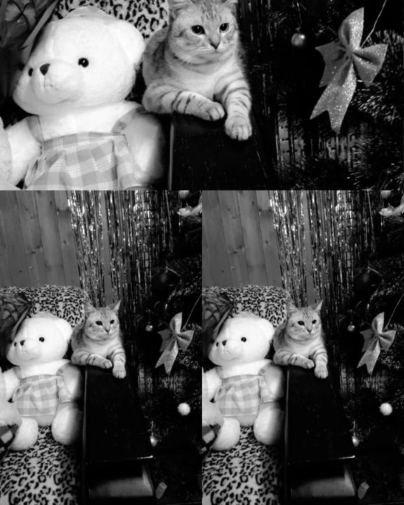 almira__776 в LOOKY. . Aşkım 🖤