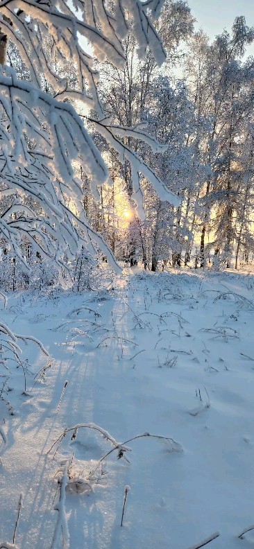 julija_shumalunene в LOOKY. . null