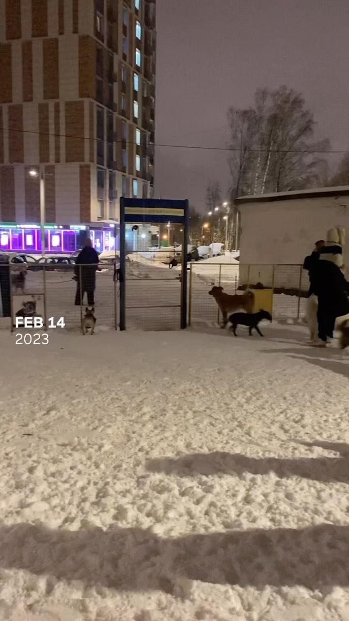 mariabalioz в LOOKY. . Такой разный 2023. Б...