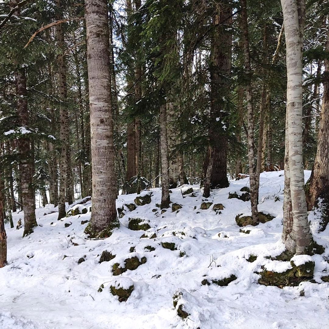 •КУНДАЛИНИ ЙОГА•ЦЕЛЕНИЕ РЕЙКИ• в LOOKY — фото 2