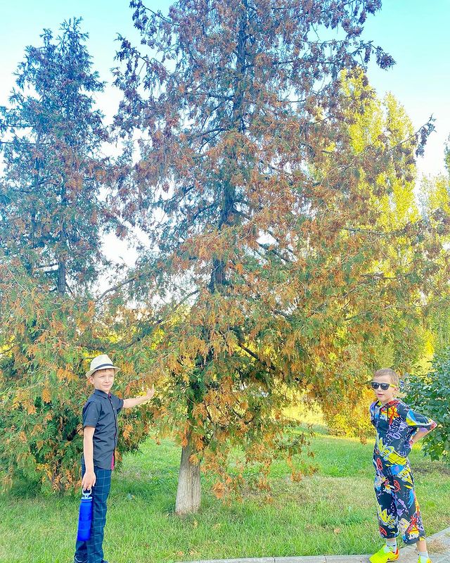 nik_dan_family в LOOKY. . 🍁🍂🌳