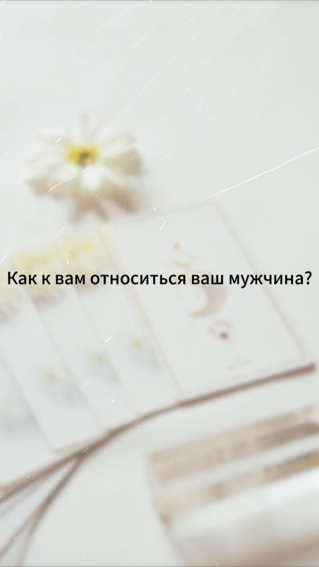 shop_333444444 в LOOKY. . Как к вам относиться...