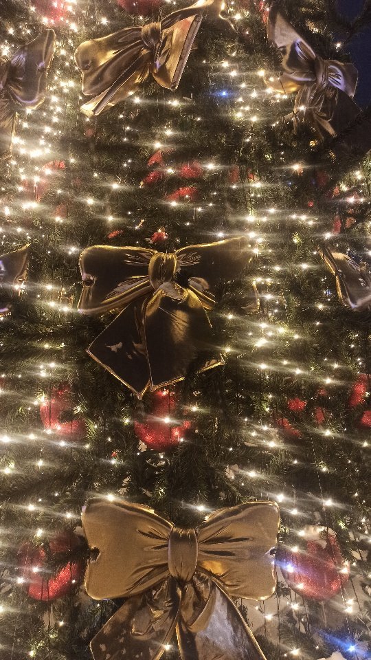 evgenia_shipulina в LOOKY. . 🎄❄☃️