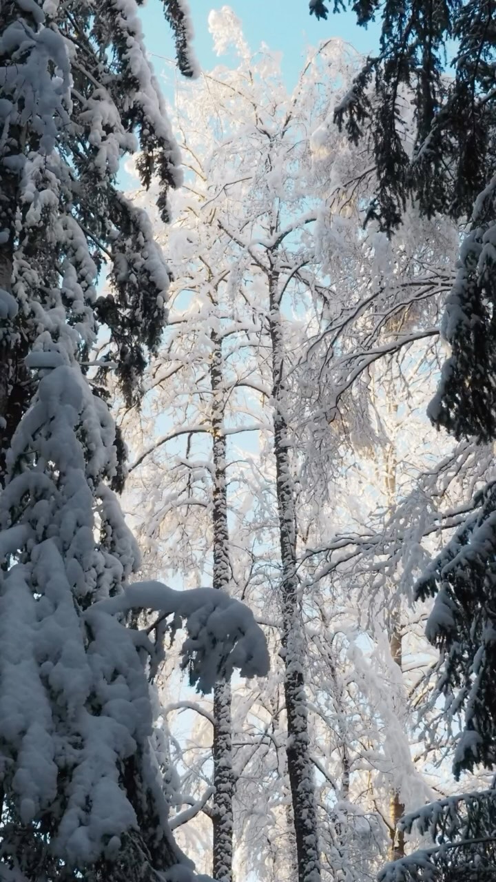 nadingainova в LOOKY. #russianwinter. Снято в -30 😁
#russ...