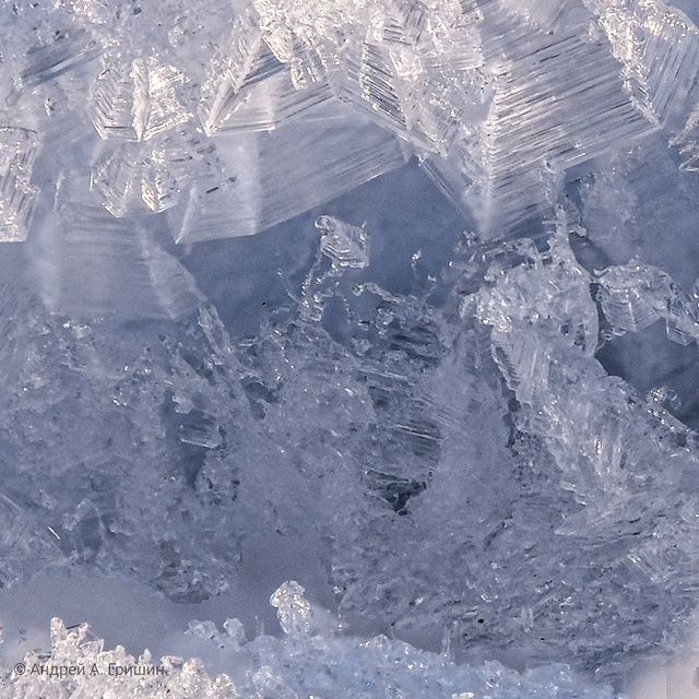 grishin_ в LOOKY. . До этого был мороз н...