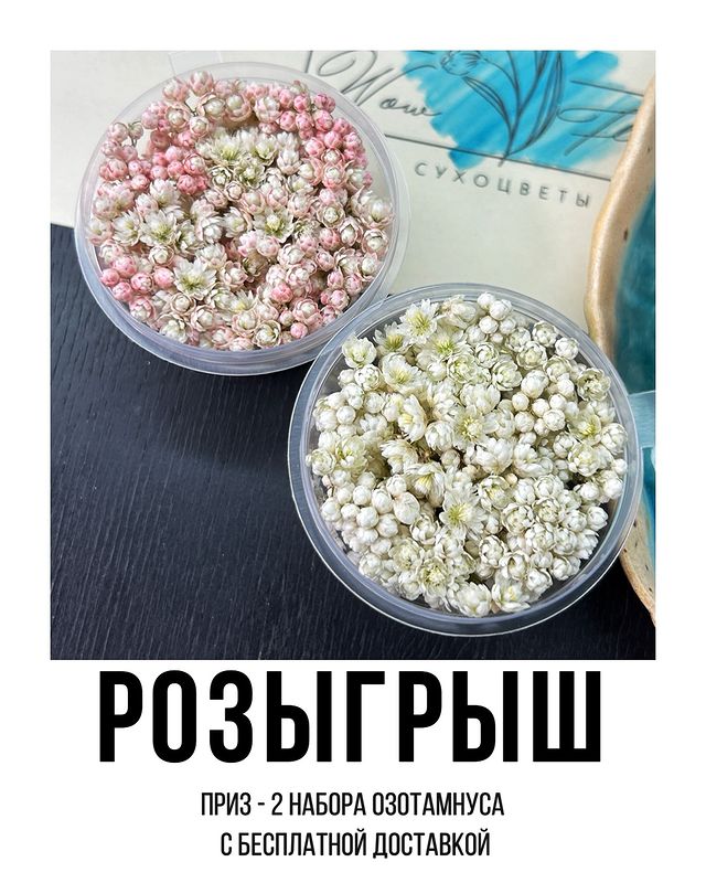 wow_flowers_26 в LOOKY. #сухоцветы,#сухиецветы,#цветы,#цветыдлясмолы,#цветыдляэпоксиднойсмолы,#сухоцветыдлясмолы,#розыгрышсухоцветов,#дарюсухоцветы. Дарю сухоцветы 🎁

П...