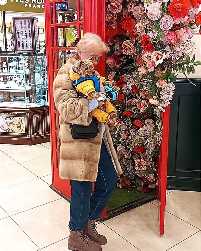 jorji_jorji2 в LOOKY. #рождество2024,#праздникрождества,#сочельник,#рождественскийсочельник,#рождествохристово. С Рождественским Соч...