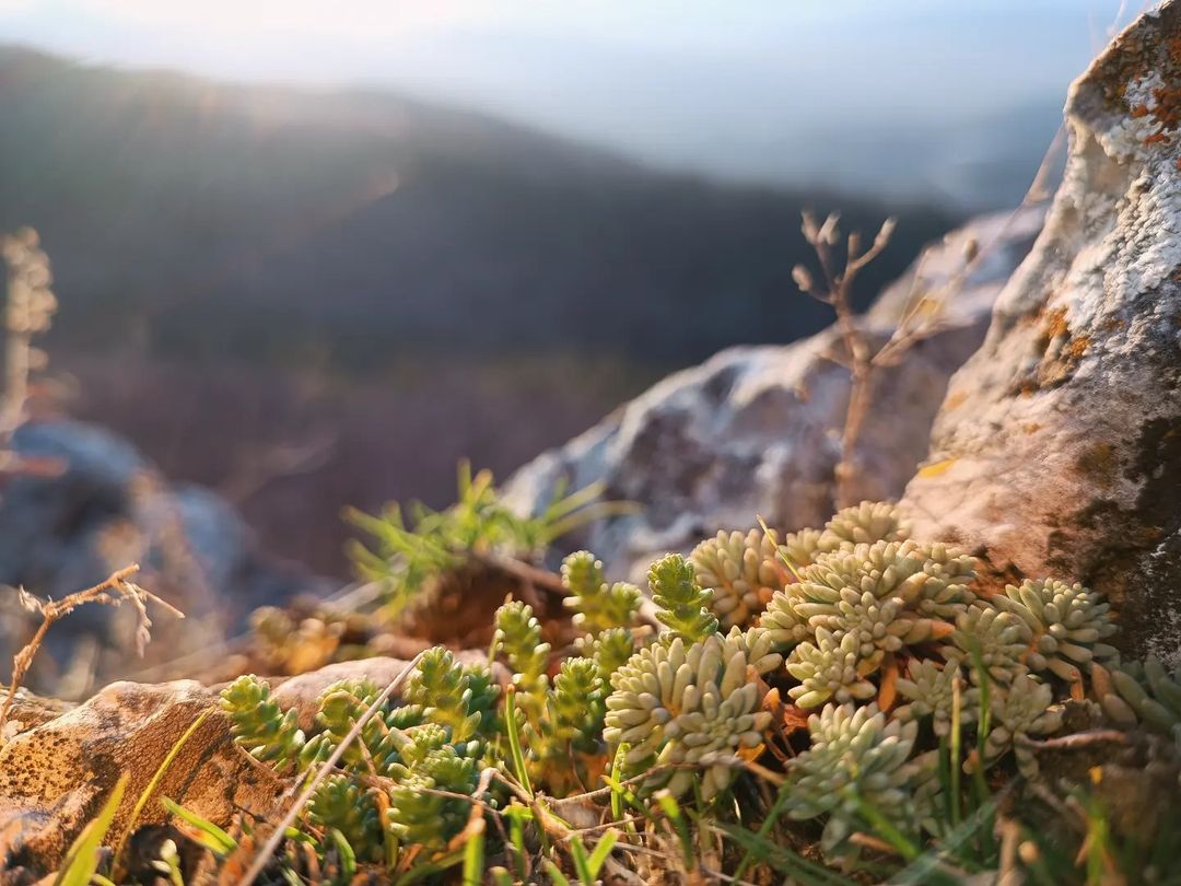 _air_world в LOOKY — Утро года

#mountain #rocks #mountains #природа #горы #russi