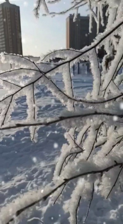aleksandrov_an в LOOKY. . Новогодние праздники...