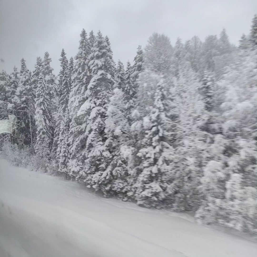 svetuliyalisa в LOOKY — фото 7