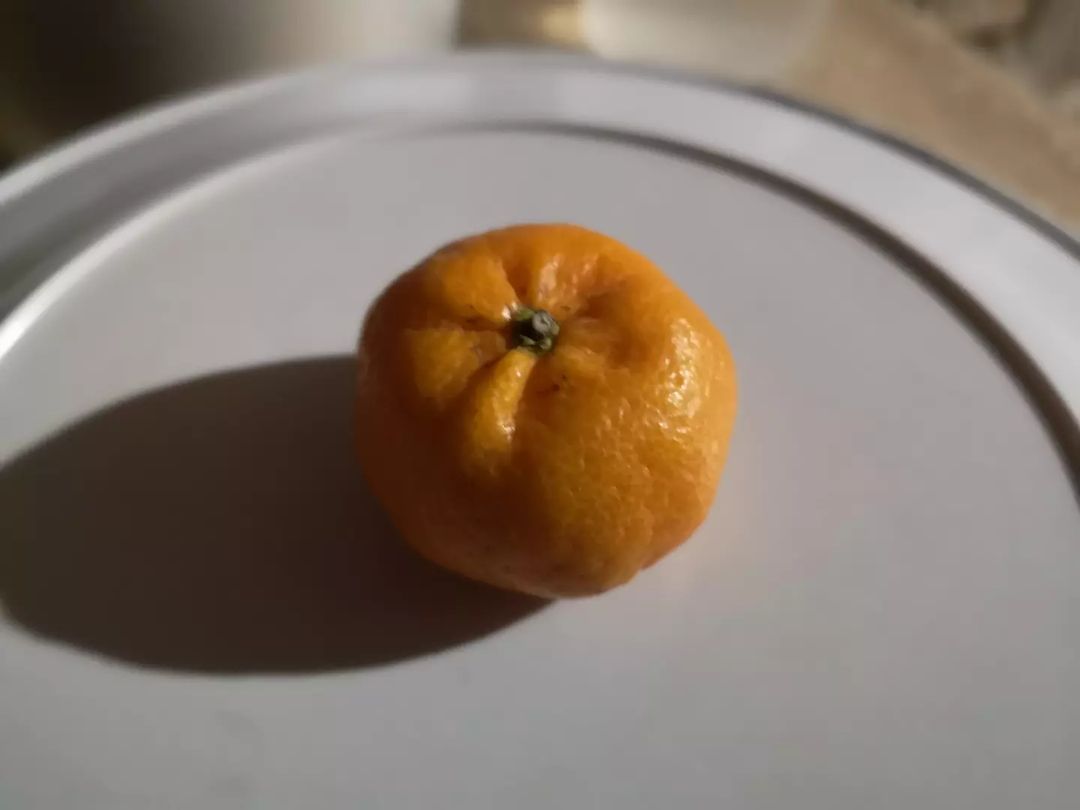 Late Upload: Fruits and others

My New Year's Day Mobile Photography. I didn't eat the chocolate candies, only the fruits and bread because, starting January 1st, 2024, I also decided to become a vegan.

#EarthRobertMobilePhotography #mobilephotography #fruit  #bread #vegan #orange #apple #newyear #2024