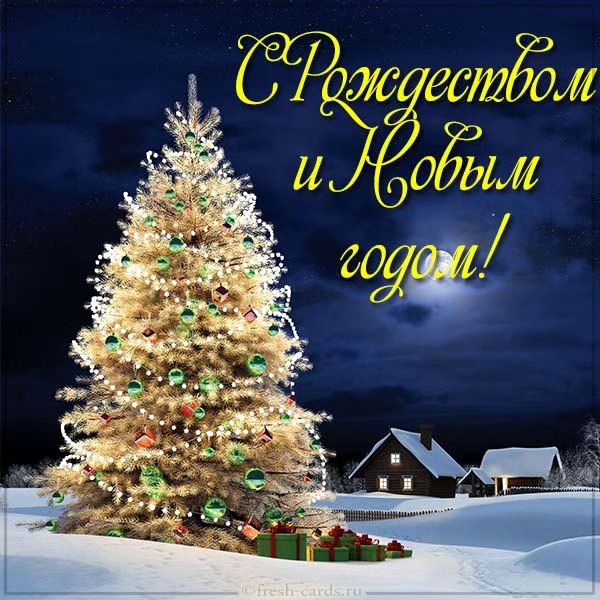 larisa_i_zhora в LOOKY. . МИР, СПОКОЙСТВИЕ, УЮ...