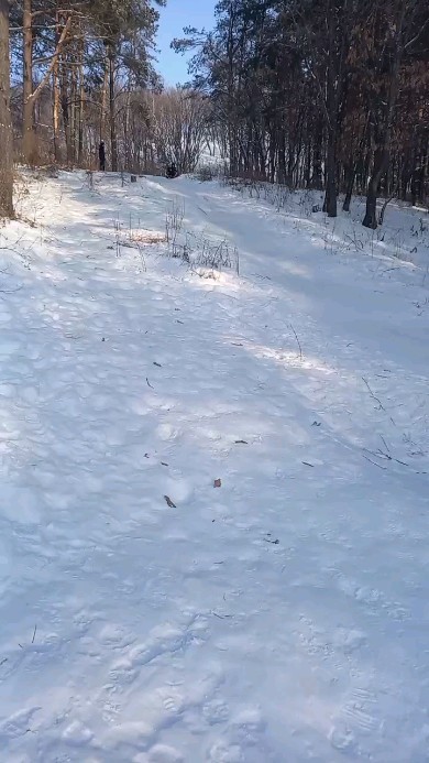 ismagilov_125 в LOOKY. #горка,#весело,#reels,#repost. #горка #весело #reel...