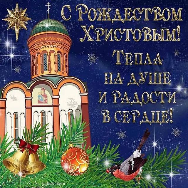 svetlanavo6 в LOOKY. . null