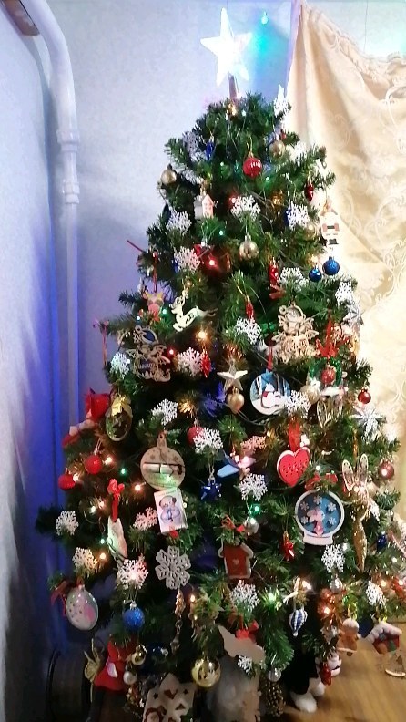 lazer53vn в LOOKY. . Наша елочка 🎄