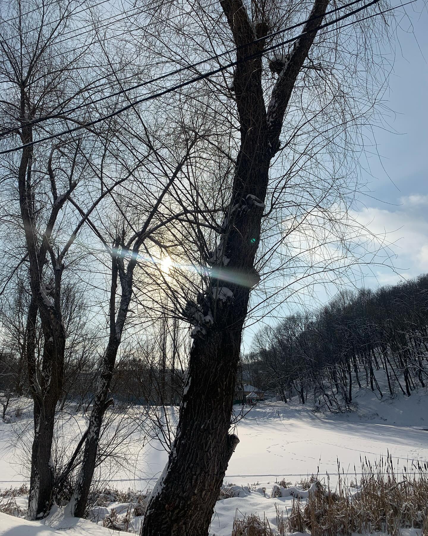 julliaskripkina в LOOKY. . С Рождеством!🤍🌞