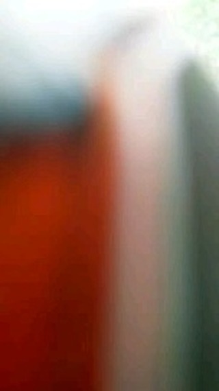 244.ls.souza в LOOKY. . null