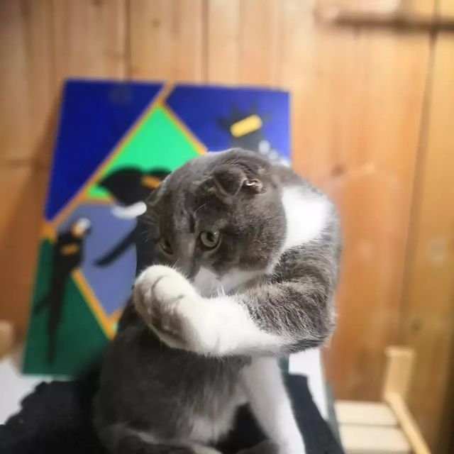 dashik_krasilnikova в LOOKY. . Ой, ну не надо меня ...