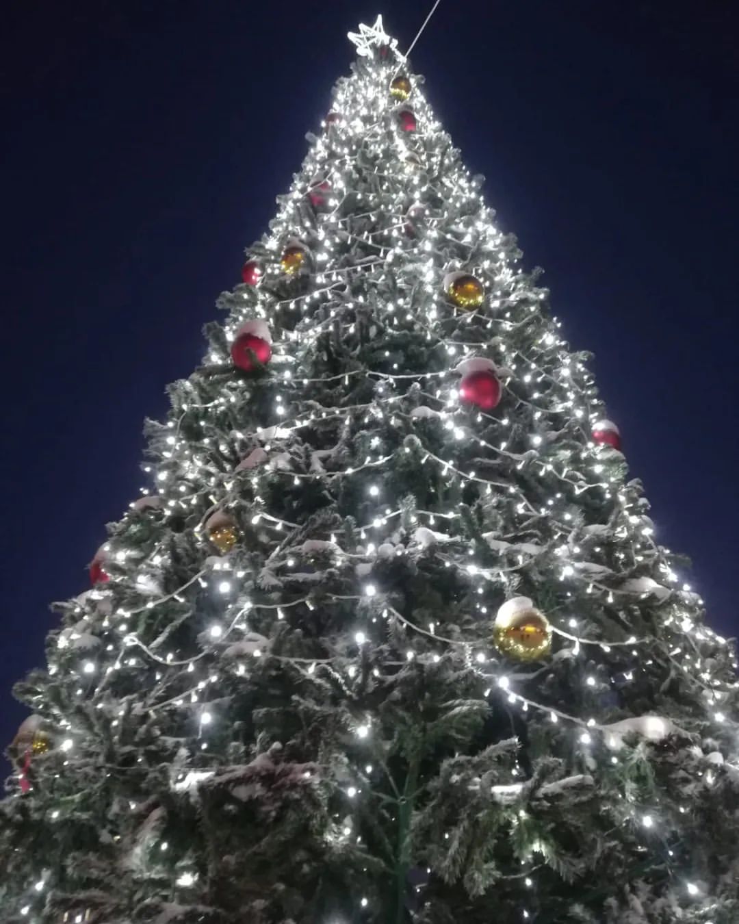 Елочка в коллекцию #сновымгодом #новый2024год🎅 #новогоднеенастроение🎄