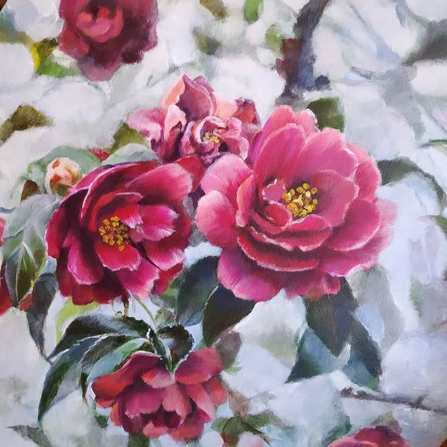 irinamohamad в LOOKY. . Camelia blossom. Acr...