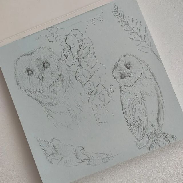 _nat__ani_live в LOOKY. #сова,#drawingsketch,#scetchbook,#рисунок,#совы. Совы - самые выразит...