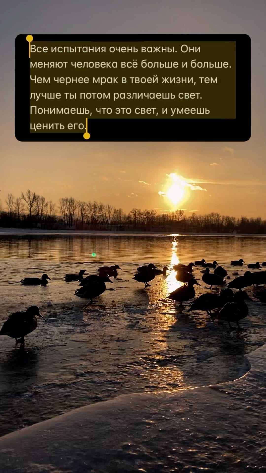 nikabakhmet в LOOKY. . Все испытания очень ...