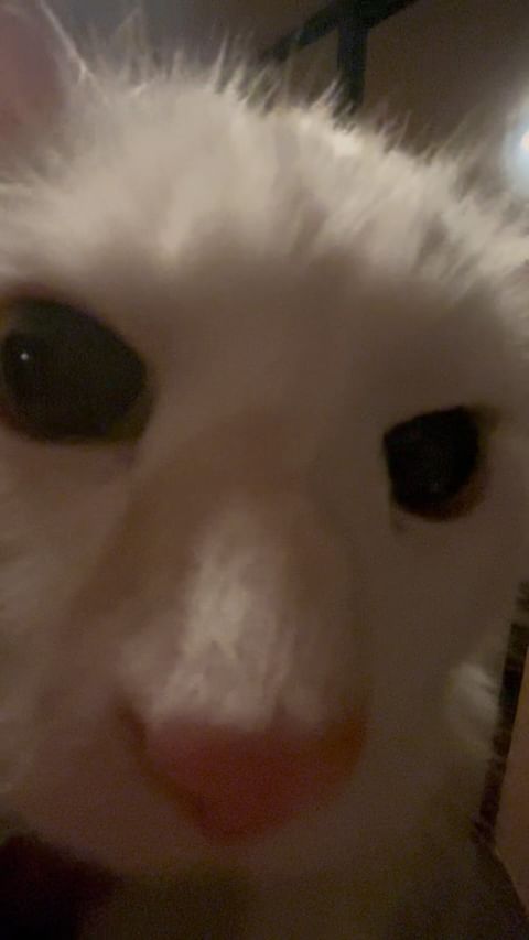 florenciyaa в LOOKY. . 🐱🤍