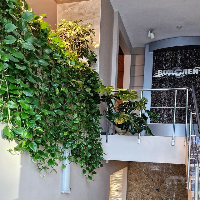 fitodecor в LOOKY. . ЭСТЕТИКА И КРАСОТА Ж...
