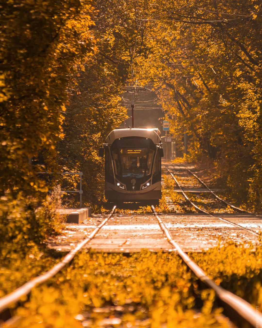 skuns04 в LOOKY — Осенний трамвай 📸
.
.
.
#canonrussia
#фотографМосква
#осень