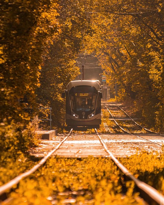 skuns04 в LOOKY. #canonrussia,#фотографМосква,#осень,#autumn. Осенний трамвай 📸
....