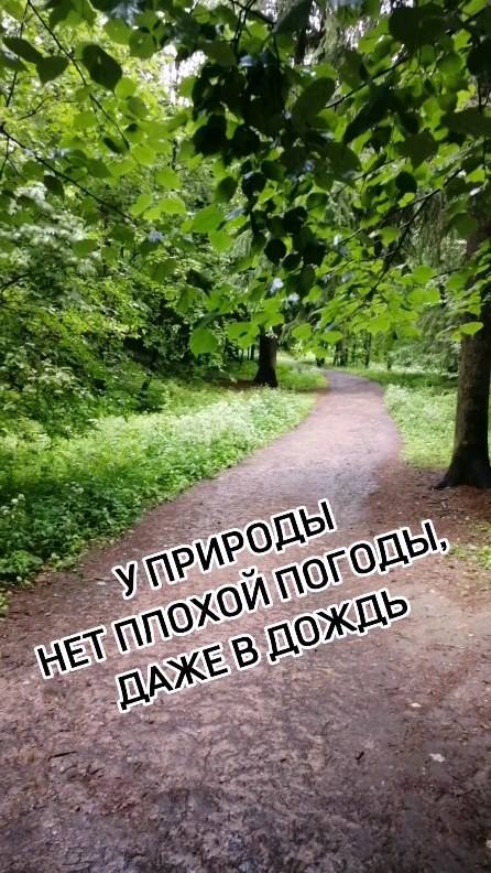 dmitriy_s_novikov в LOOKY. #НовиковСПБ,#шуваловскийпарк,#природа,#санктпетербург,#спб,#питер,#дождь. #НовиковСПБ #шувалов...