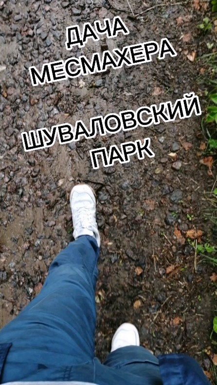 dmitriy_s_novikov в LOOKY. #НовиковСПБ,#шуваловскийпарк,#спб,#санктпетербург,#дачамесмахера. #НовиковСПБ #шувалов...