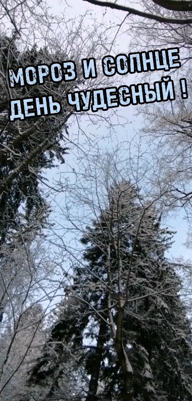 dmitriy_s_novikov в LOOKY. #НовиковСПБ,#шуваловскийпарк,#санктпетербург,#семья,#спб,#питер,#прогулки,#зима. #НовиковСПБ #шувалов...