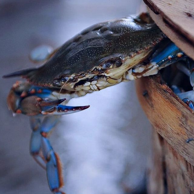 albo_studio в LOOKY. . Nature is the best a...