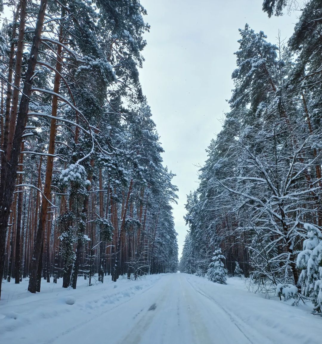 Зимняя сказка🎄❄️☃️🌬️