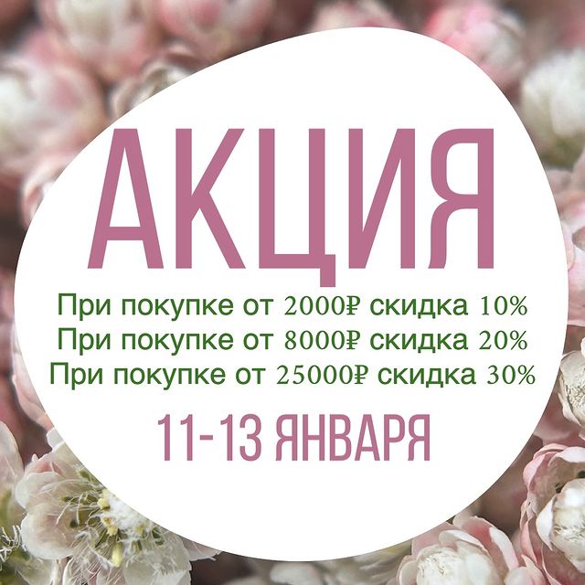 wow_flowers_26 в LOOKY. #сухоцветы,#сухиецветы,#сухоцветыдлясмолы,#сухоцветыкупить,#сухоцветыдляукрашений. Приятные скидочки на...