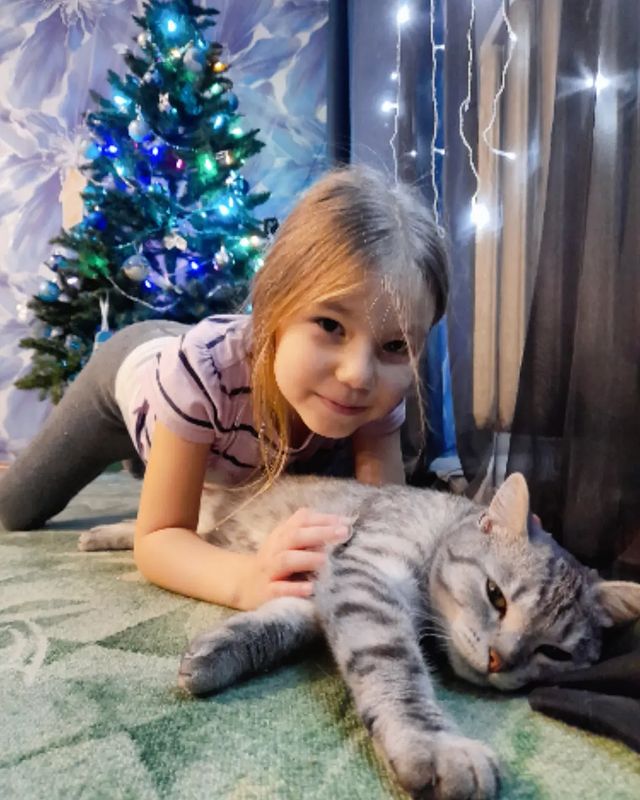 aleksandrachebykina1 в LOOKY. . Кысаньки мои 🥰