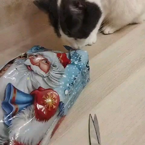 larisa_i_zhora в LOOKY. . От Облаечек из Питер...