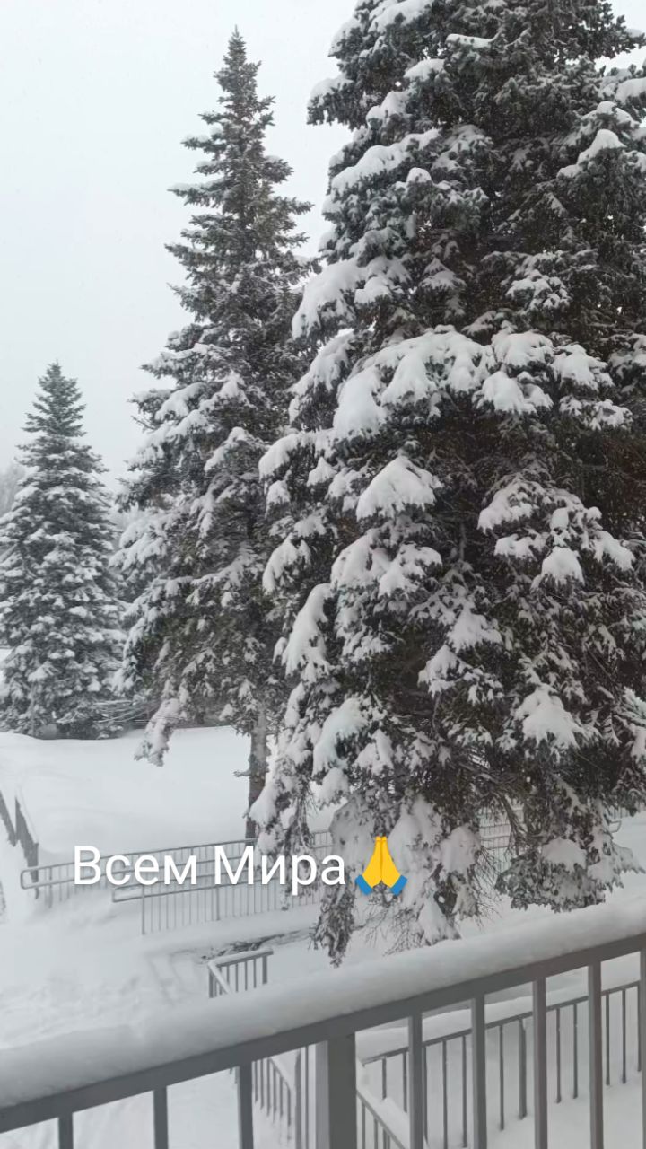 lilija_razimovna в LOOKY. . Мира всем🙏🙏