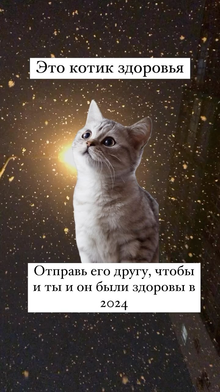 only_siberian_ в LOOKY. . Котик здоровья 🌿 от...