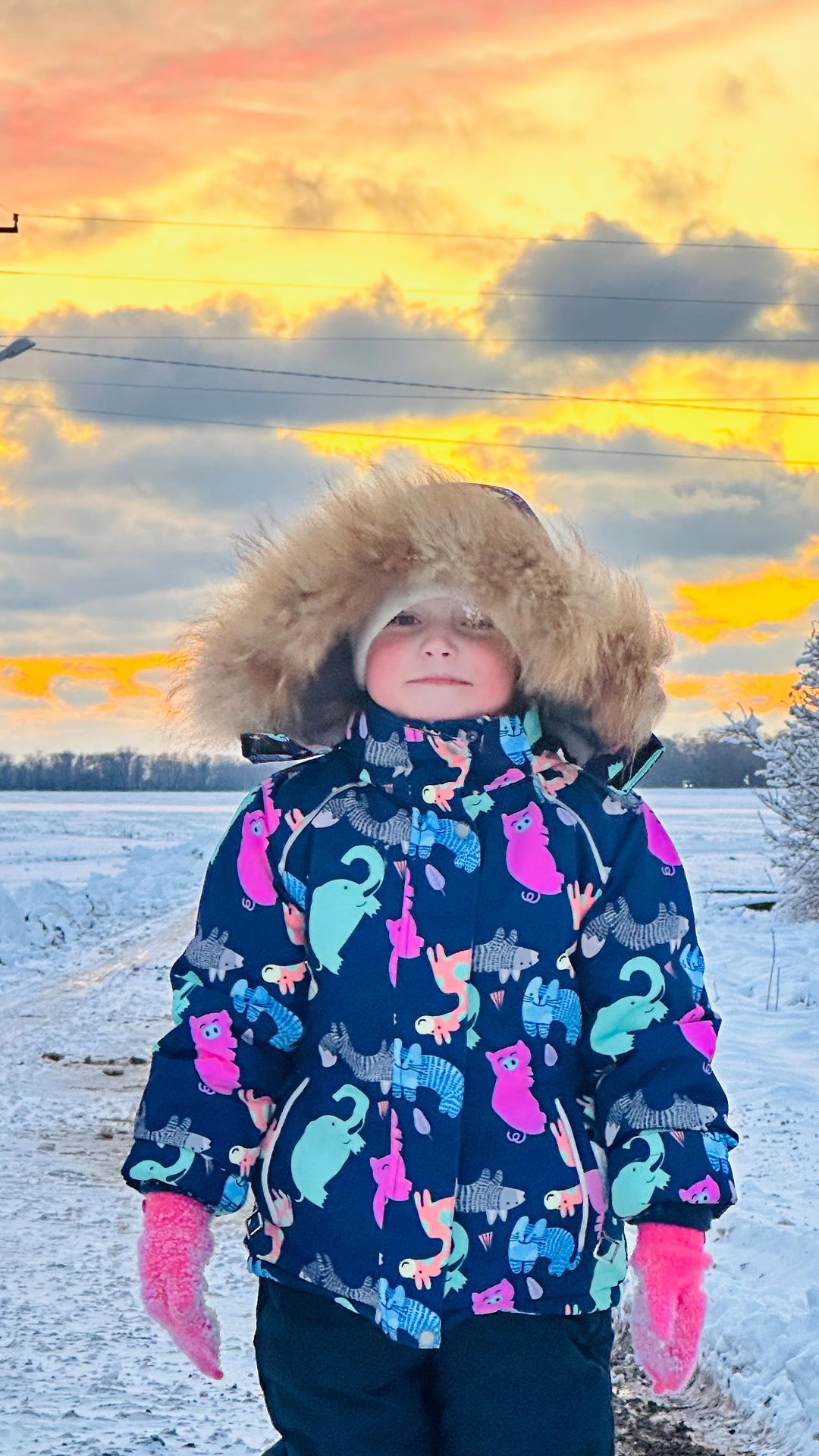 fotoanna.msk в LOOKY. . Немного нашей зимы ❄...