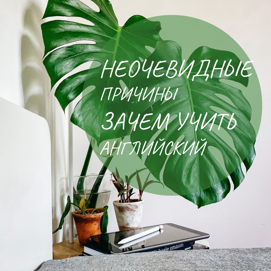 teachberry.esl в LOOKY — ЗАЧЕМ НУЖЕН АНГЛИЙСКИЙ

⭐ Профилактика деменции и улучшение 