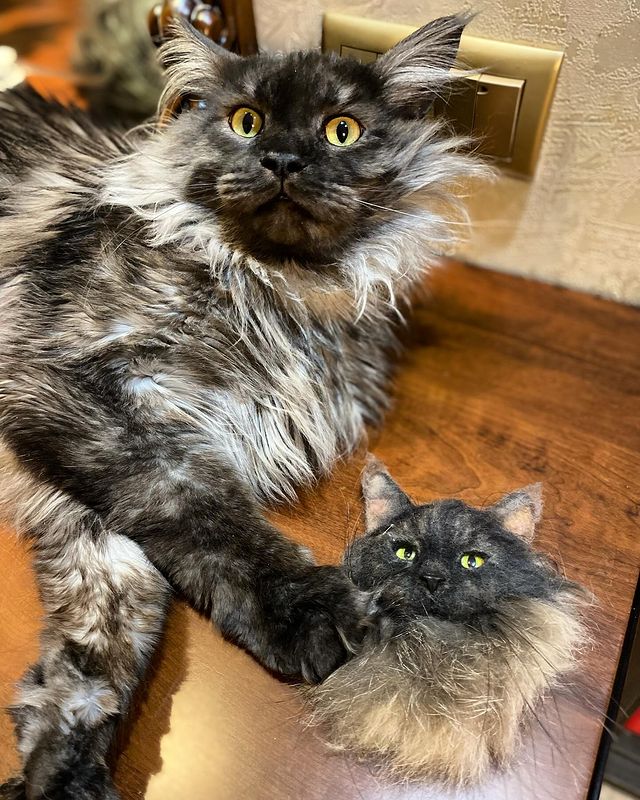 cat_bastion_coon в LOOKY. #мывместе,#приветдрузьям,#кот,#котики,#котик,#mainecoon,#mainecoon_banda,#котозависимость,#люблюкотиков,#безкотаижизньнета,#смешныеживотные,#смешныекотики,#мыизкотограма,#looky,#looky_top,#looky_топ. Всех с пятницей, дор...