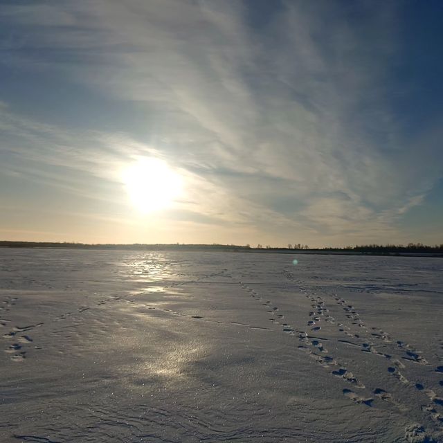 mrkuzma1 в LOOKY. . null