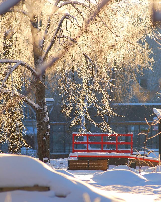 dimalife75 в LOOKY. #шумерля,#городскойпарк,#чувашия,#роднойкрай,#снимаючувашию,#фотография,#искусство,#зима2024##январь2024,#зимахолода,#nikond50,#nikon8020028,#nikonlove. Морозный январь ❄️❄️...