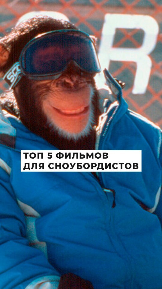 edditravel в LOOKY. #ТОП,#Топфильмов,#Сноуборд,#Snowboard,#Freeride. 📌ТОП 5 ФИЛЬМОВ ДЛЯ ...