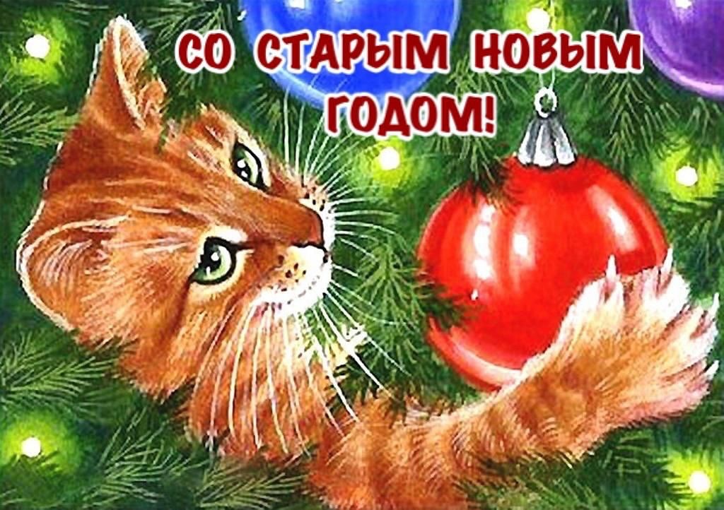 777_my_love_garden_777 в LOOKY — публикация