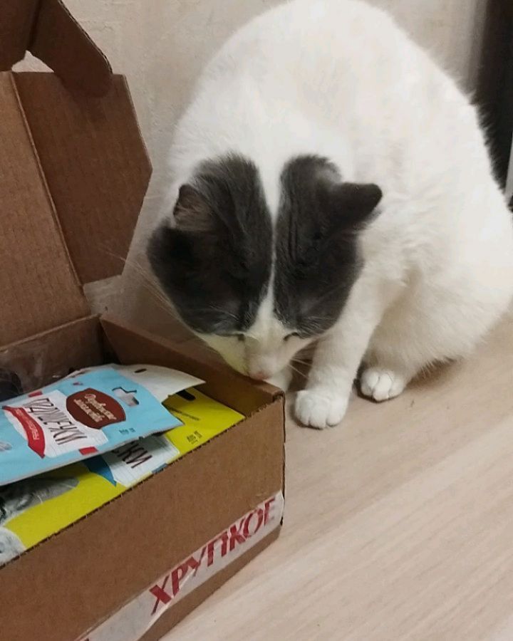 larisa_i_zhora в LOOKY. . Новогодний приветик ...
