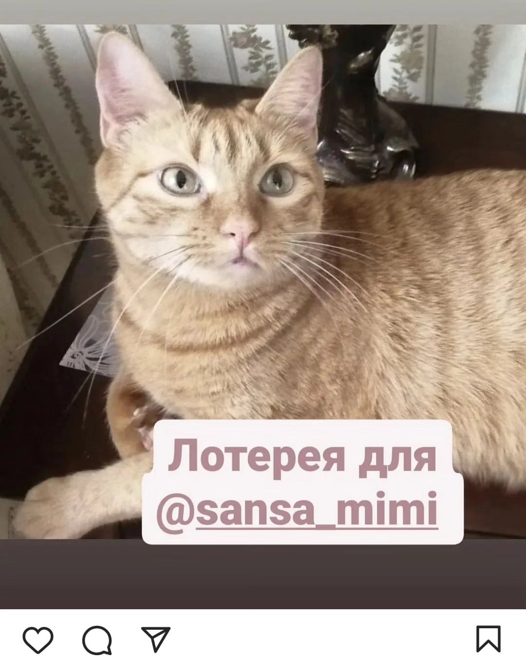 А наша благотворительная лотерея в помощь семье Ирины  @sansa_mimi продолжается на страничке котика Марсельки @happymarsik 🙏🙏🙏 и от нас с Жорой можно выйграть ватную игрушку мастера Ольги Симаковой @helqa.simakova