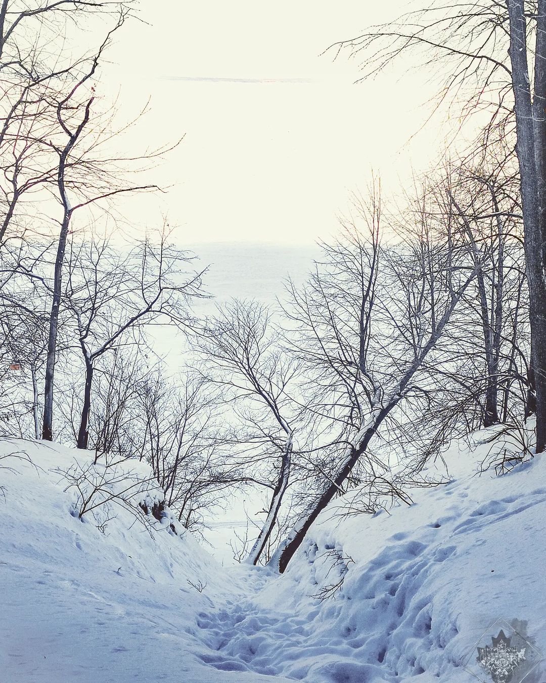 bella_ai_miei_occhi в LOOKY — #landscapephotography #art #travelphotography #landscape #fo